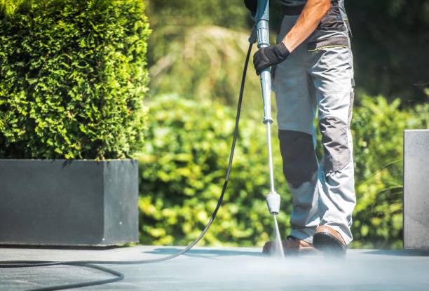 Best Winterizing Services  in Pinckneyvle, IL
