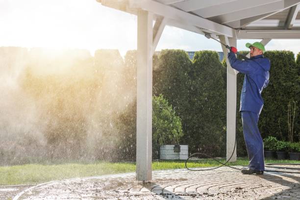 Best Graffiti Removal  in Pinckneyvle, IL