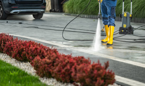 Best Factory Floor Cleaning  in Pinckneyvle, IL